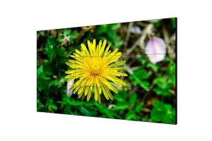  Фото видеостена 4x4 hikvision 55" ds-d2055le-g - фото 3