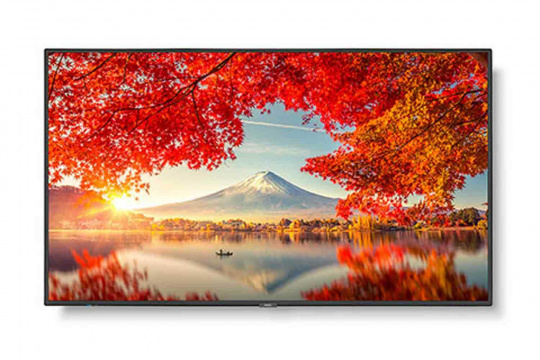 Изображение Информационный дисплей NEC 55" MA551