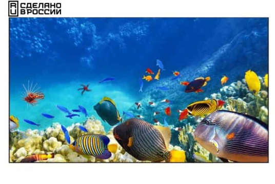 Изображение EliteBoard Array