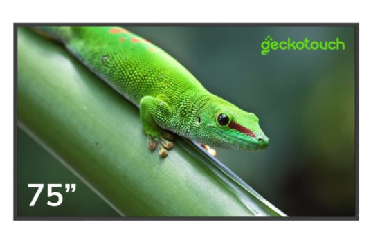 Изображение Профессиональный дисплей Geckotouch 75" 75DF